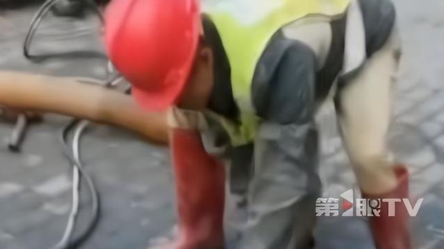 捅了鱼窝！南宁一下水道吸出小半车鲶鱼，疑为居民疏通厕所时所弃