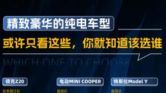 个性外观+豪华配置，我推荐看看领克Z20、电动MINI、Model Y