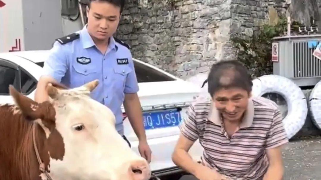 湖北一民警正在执勤，抬头发现窗外有一头牛，随后发生的一幕，让人目瞪口呆