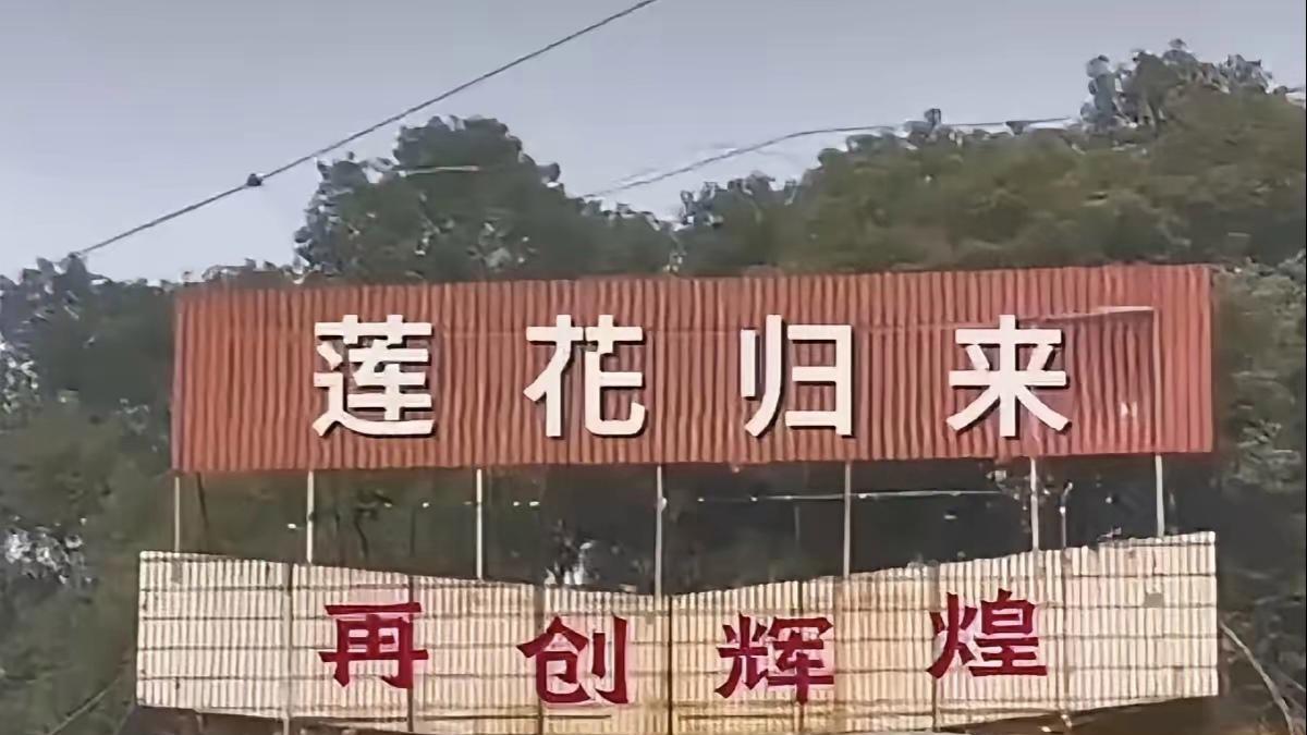 莲花味精曾经的国货之光，通过两位男士的直播能否迎来新的机遇和发展
