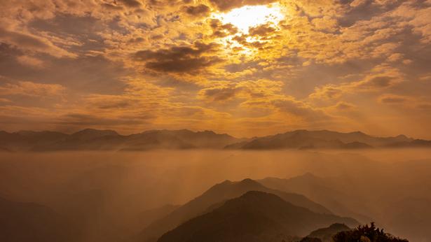 随笔素谈：一个外地女孩，死在了我出租的公寓