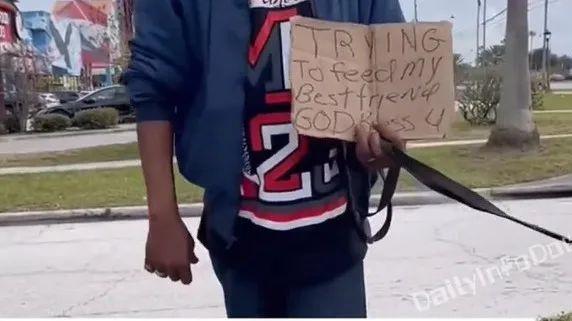 狗狗不知道他是无家可归者，只以为是永远在散步，爱着生活