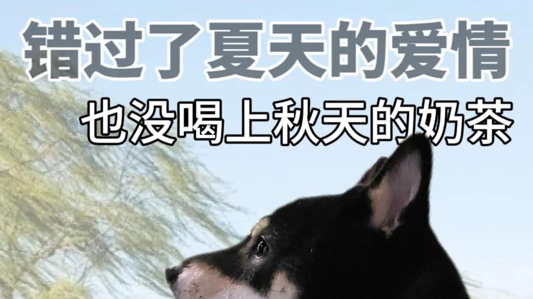 极氪的售后服务真的0负担