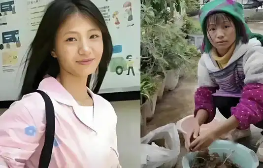 小英一家卖惨人设被揭穿，昔日苦情变虚构剧本