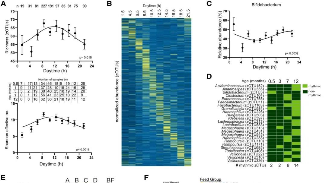 文献分享 | 瞒不住了~多组学联合分析高分文章套路，还是太全面了