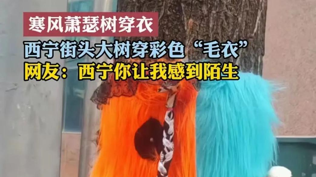 为什么给树穿上了毛衣