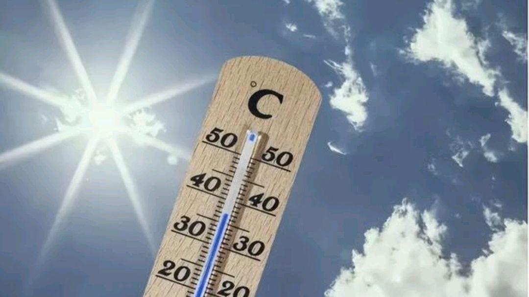 提醒中老年人：夏天别光记得补水，还要补阳，阳气充足身体好