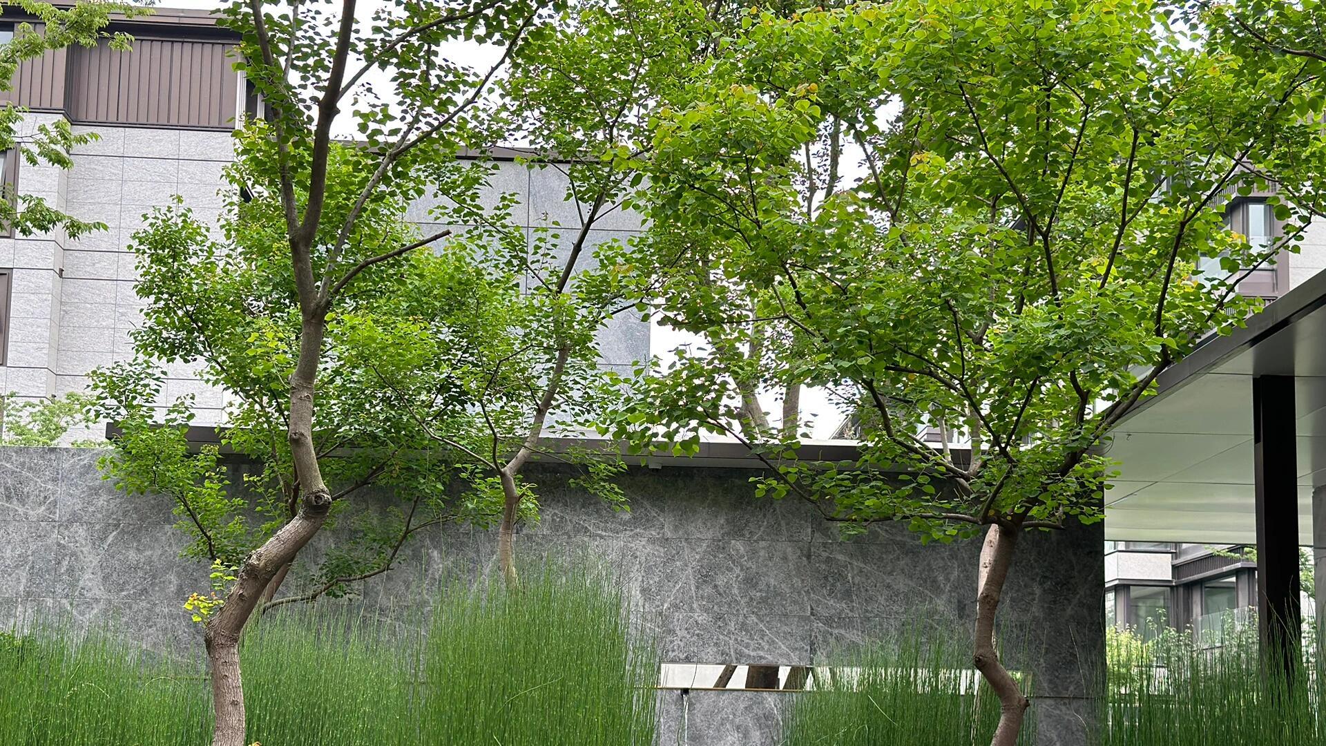 跟现在比，明年有三个有利于购房者好消息，买房这事等等又何妨？