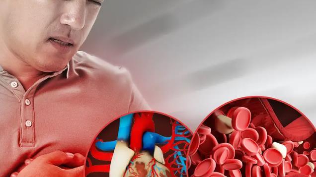 为什么人最终都会死亡呢？医生：从血管的角度来讲，答案很简单