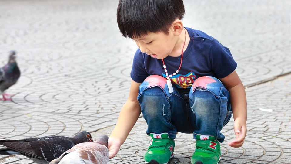 高考作文：以爱之名，敬文化之多元，传递中国声音，讲述中国故事