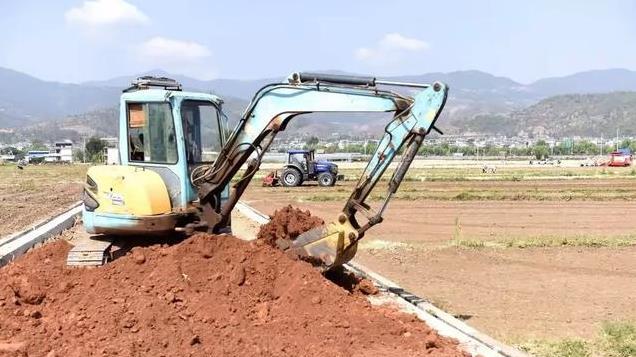重磅！央国企中标高标准农田建设，流转土地搞种养殖 助力乡村振兴