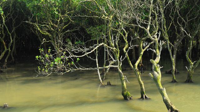 G325国道就是广州—南宁公路，简称广南线，广南线好玩儿吗？