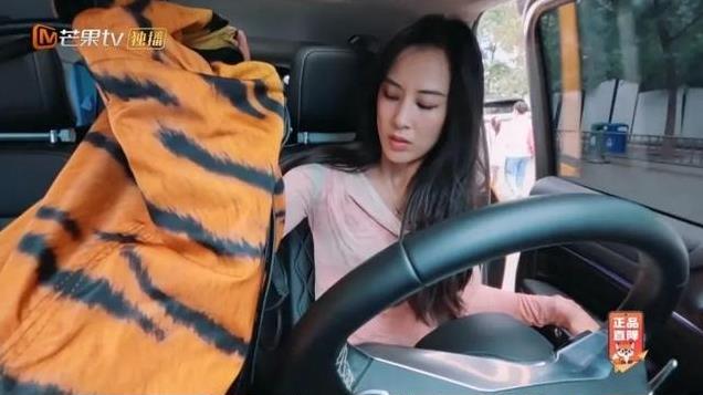让黄圣依开7小时的车后，杨子问大家：“我是不是又会被网暴？”