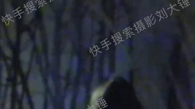 8天会3女的是汪苏泷! 工作室回应认了被粉丝狂吐槽! 狗仔很刚再回怼