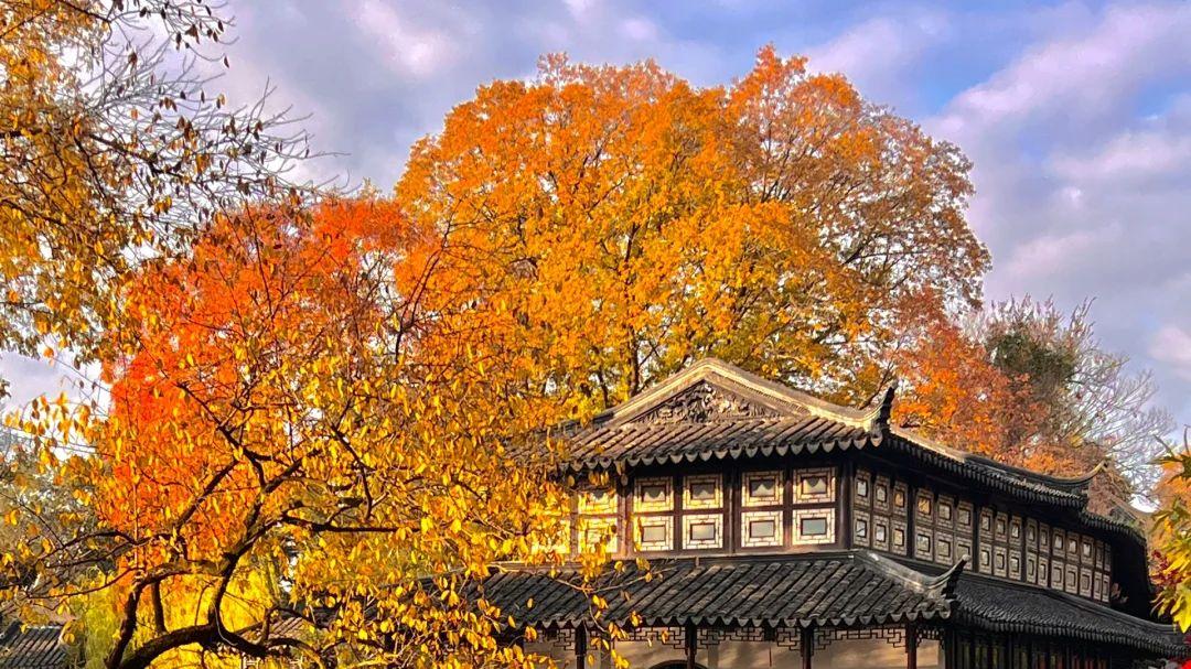 秋日苏州： “邂逅”画中的园林