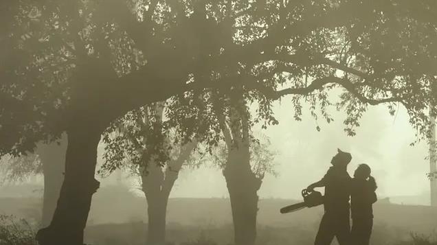 《树上有个好地方》：失去从来都不是结束，而是成长的开始