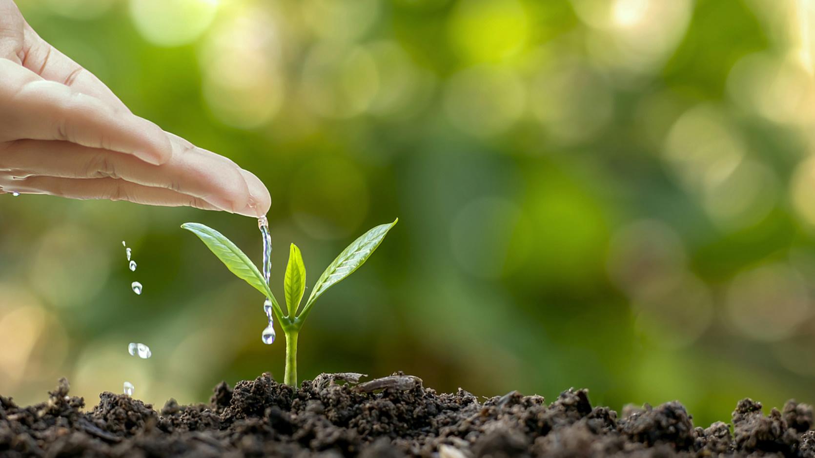 博润科技|告别高耗低效，硝化抑制剂助力氮肥利用率提升！