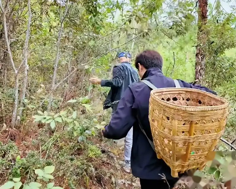 陈佩斯69岁，北京地主？四孙围绕，你羡慕了吗？