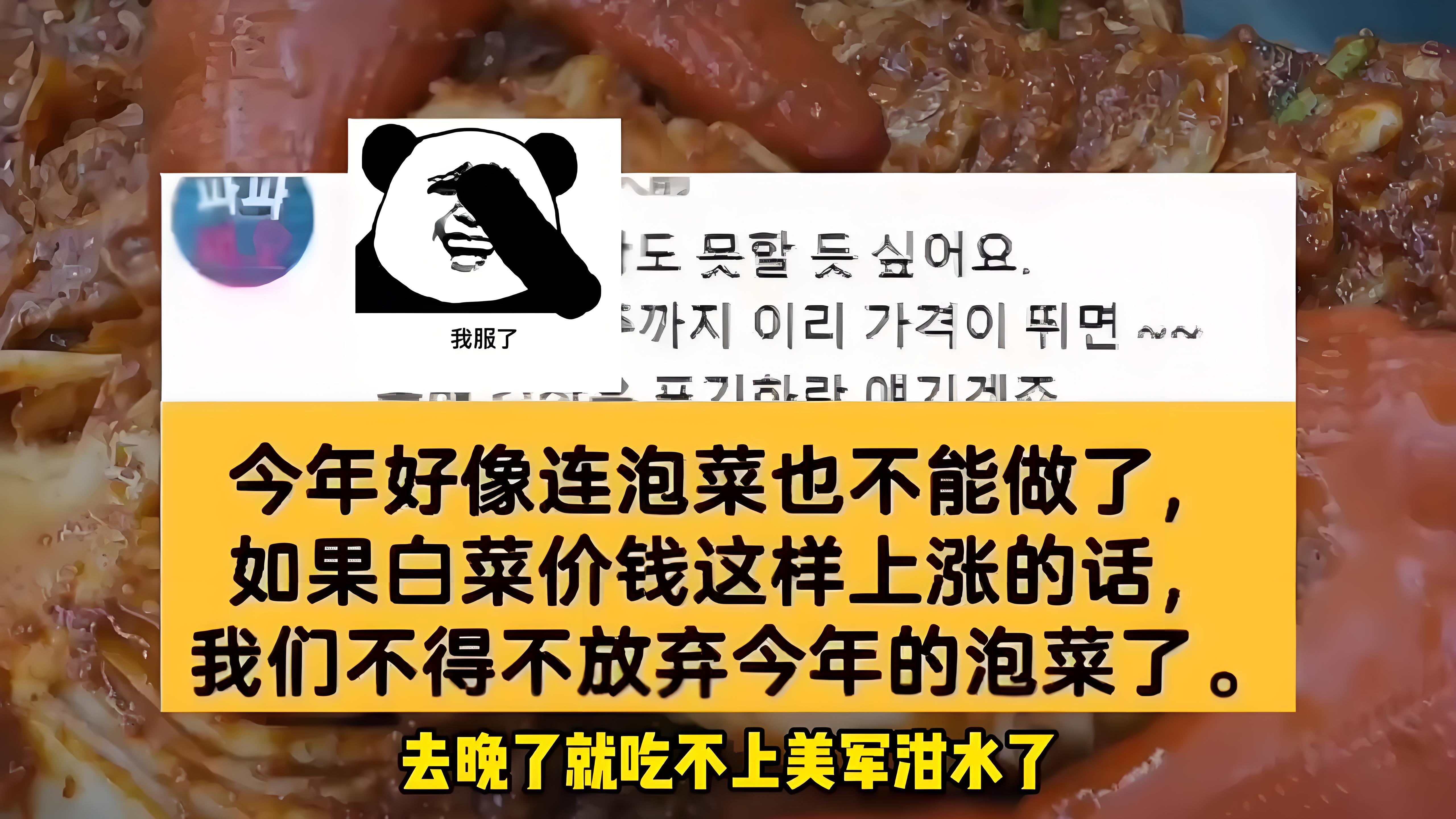 白菜价格飙升背后的真相：韩国经济与文化的交锋