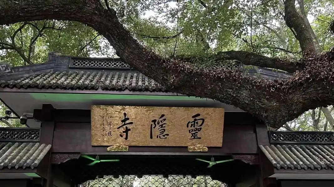 巴沙尔败走叙利亚：灵隐寺锅从天上来？网友：灵隐寺也不灵了？
