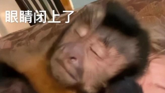 2299元？荣耀这台新机，太能打了