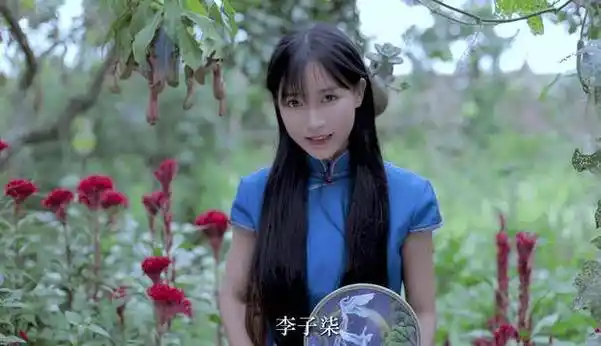 李子柒是要复出了吗？团队回应