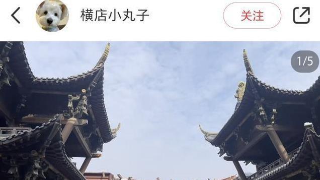 内娱头号狗皮膏药终于要消失了，挤进八部爆剧、越看越尴尬