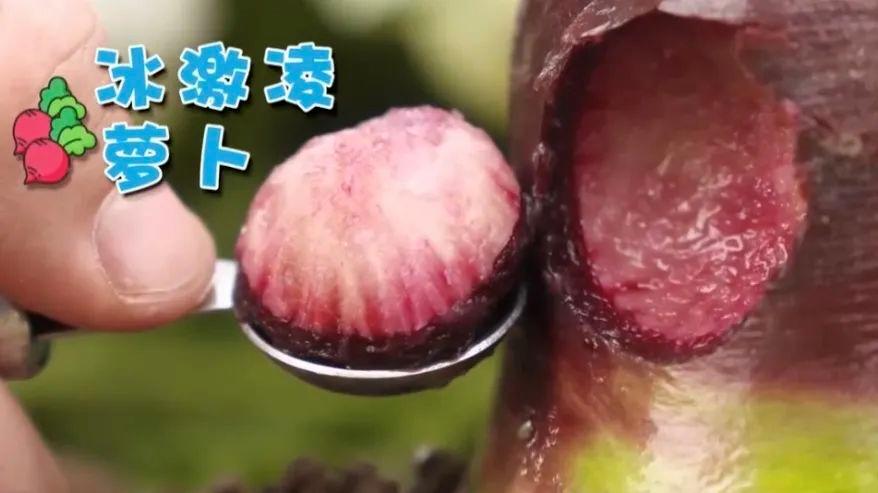 这款超火的网红蔬菜，一个15元，亩产可达5千斤，几乎全国适种！