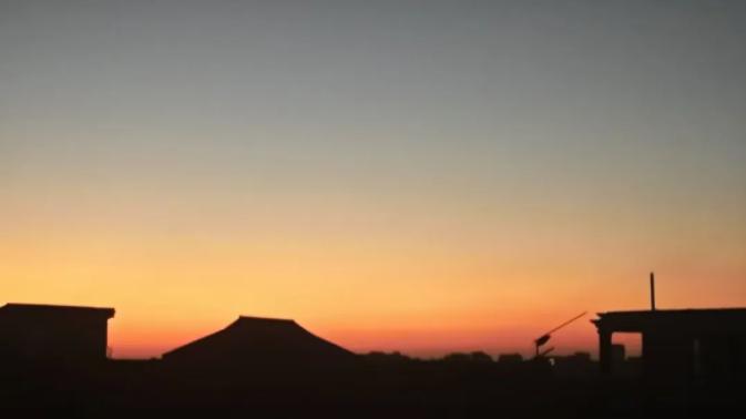 【原创二十四节气之大雪】整理植物院