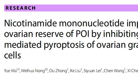 新的研究发现：NMN有效干预老得较快的器官