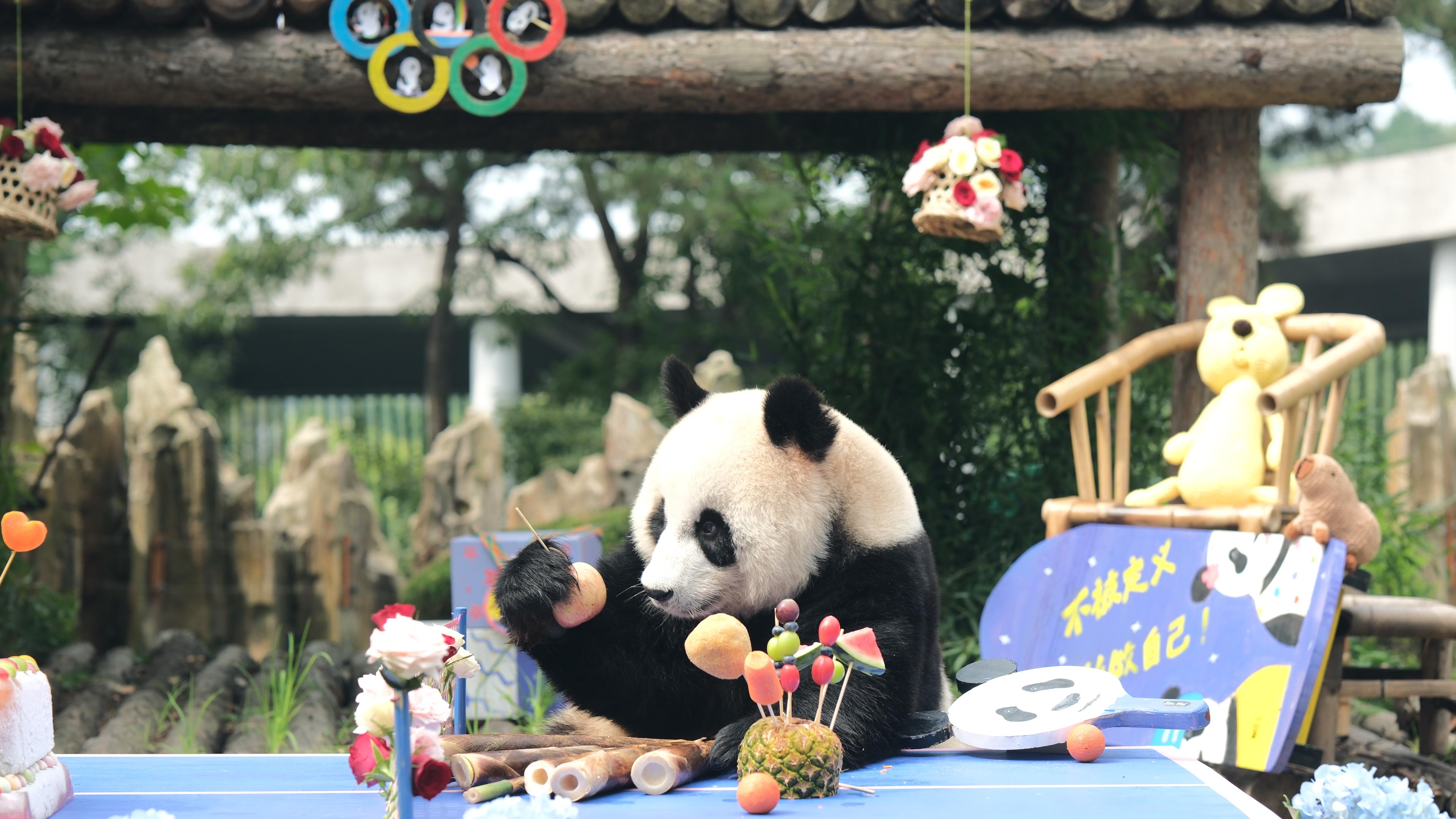 治愈系公主“妙音”14岁啦