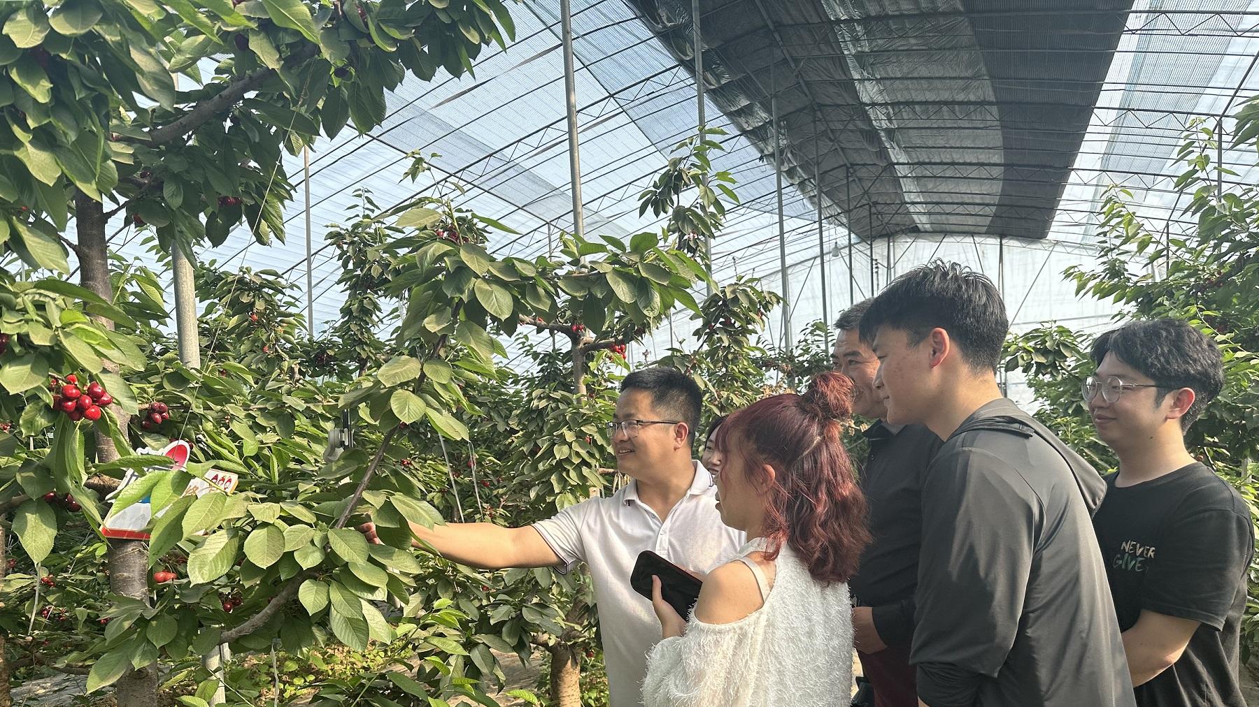 绛县乡村e镇短视频拍摄技能培训实操班