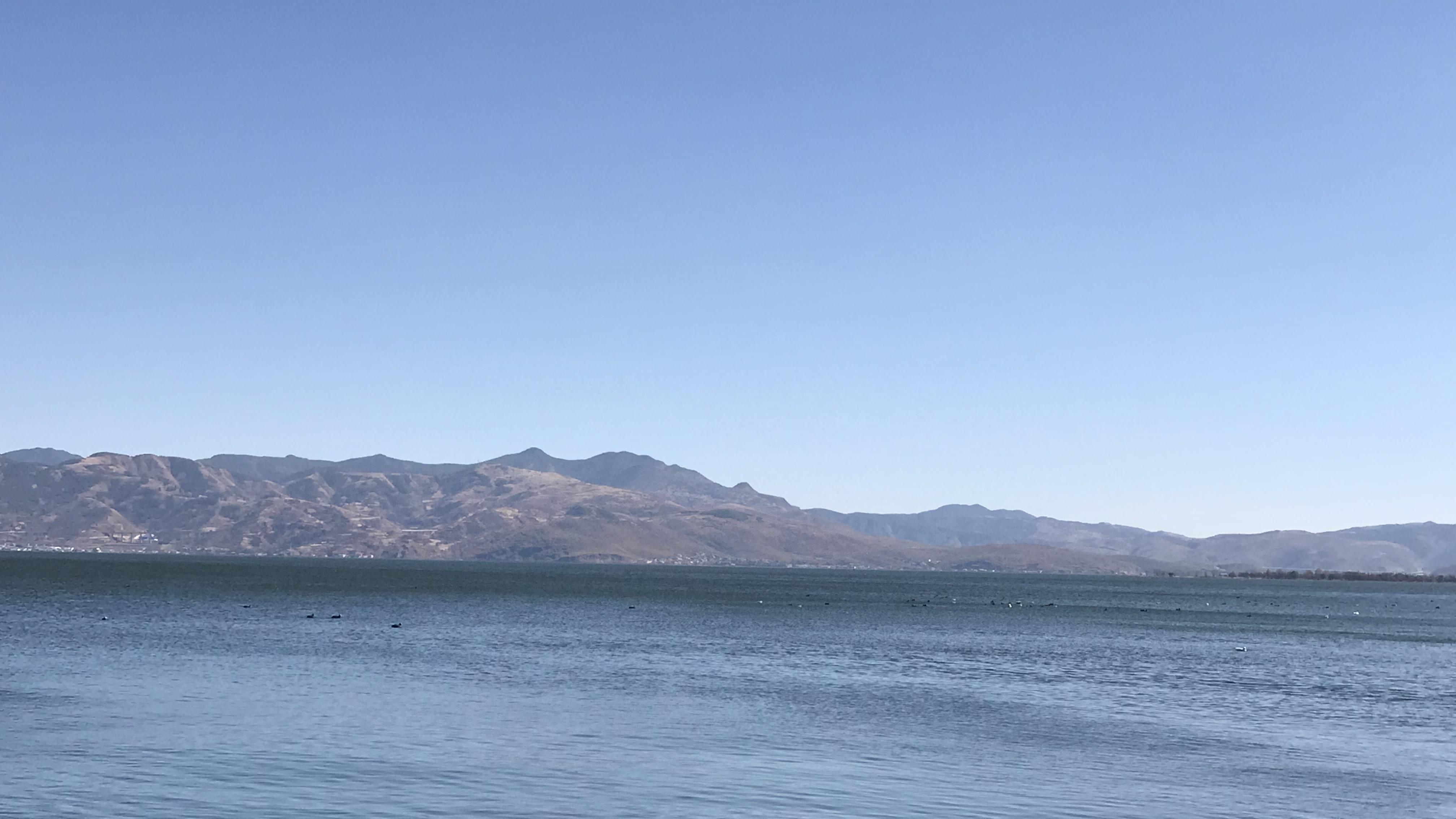 社会心理学之霍桑效应及应用：被关注的人，往往表现更佳