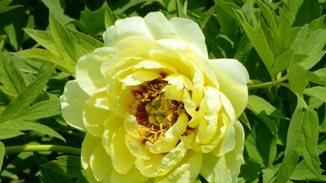 头脑好，精神时节更富有的四个星座，有钱无压力，贵人源源