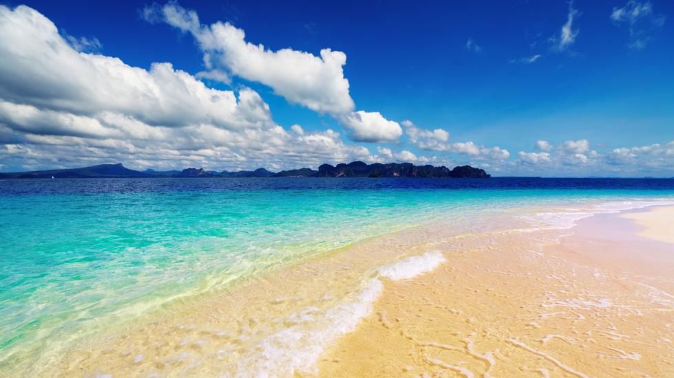 勤奋是成功之花的蕊，是理想之舟的帆