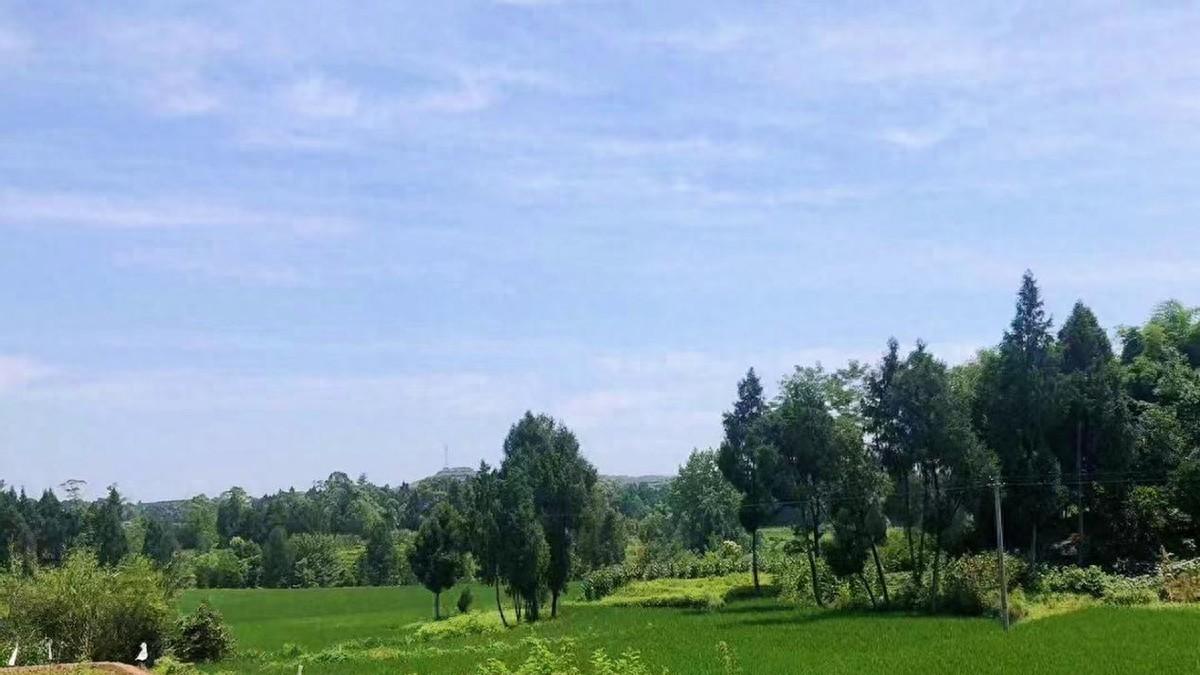 决战四季度，打好收官战