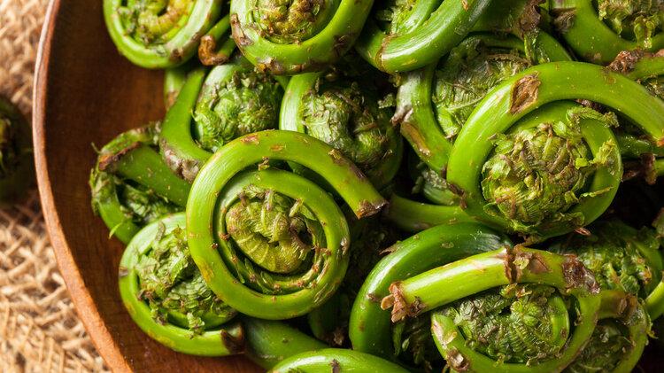 蕨菜全身带毒还致癌？为了家人的健康，吃之前不要忘了这2步