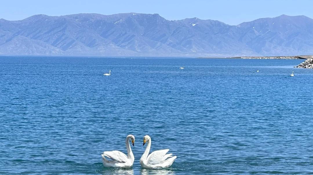 国内最美的六大湖泊，去过4个算旅游达人，全部去过就不遗憾了！