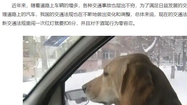 副驾驶没坐人却被扣3分罚200，究竟怎么回事？交警：处罚一点没错