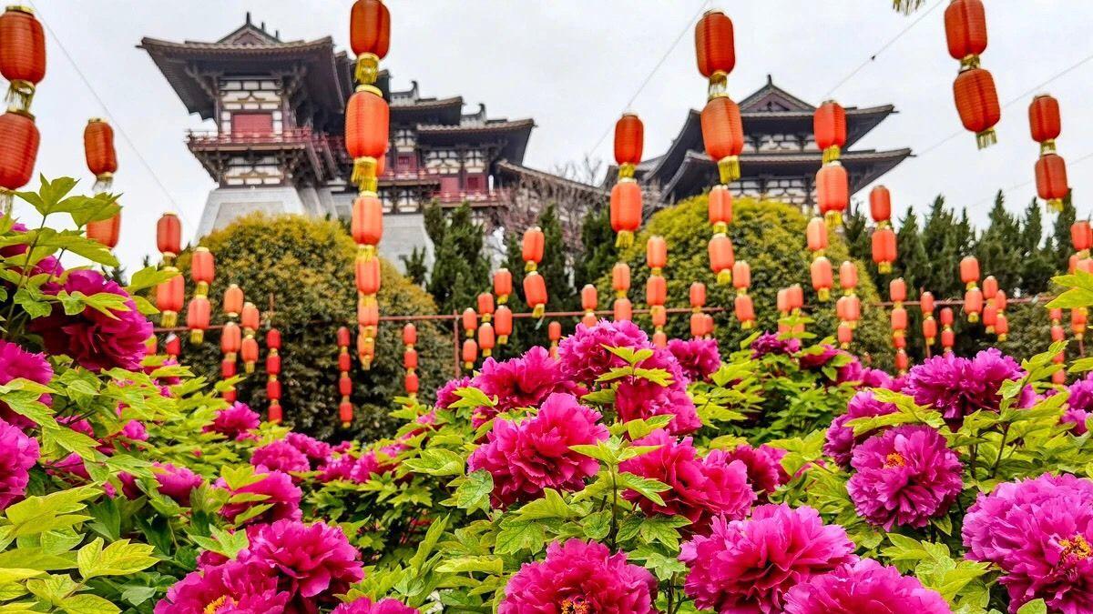 为什么我敢说洛阳比西安更具有独特魅力和特色？