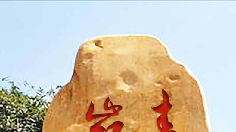 草书的自由洒脱，恰如春天的生机毫无拘束……