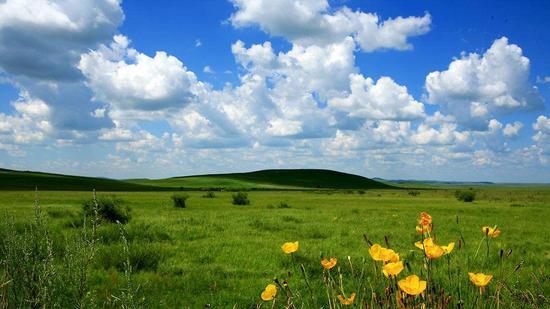 黑夜里的一抹红