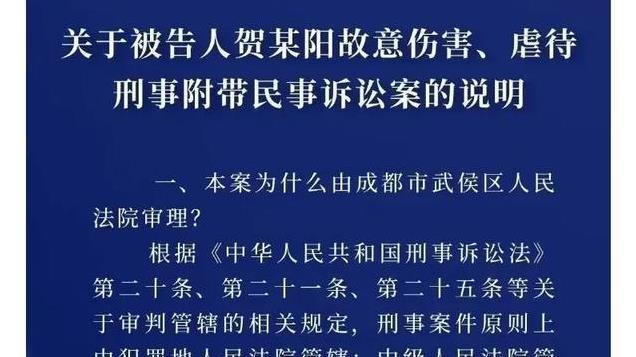 两年被家暴16次宣判：获刑11年赔偿37万，法院解释未判死刑原因？