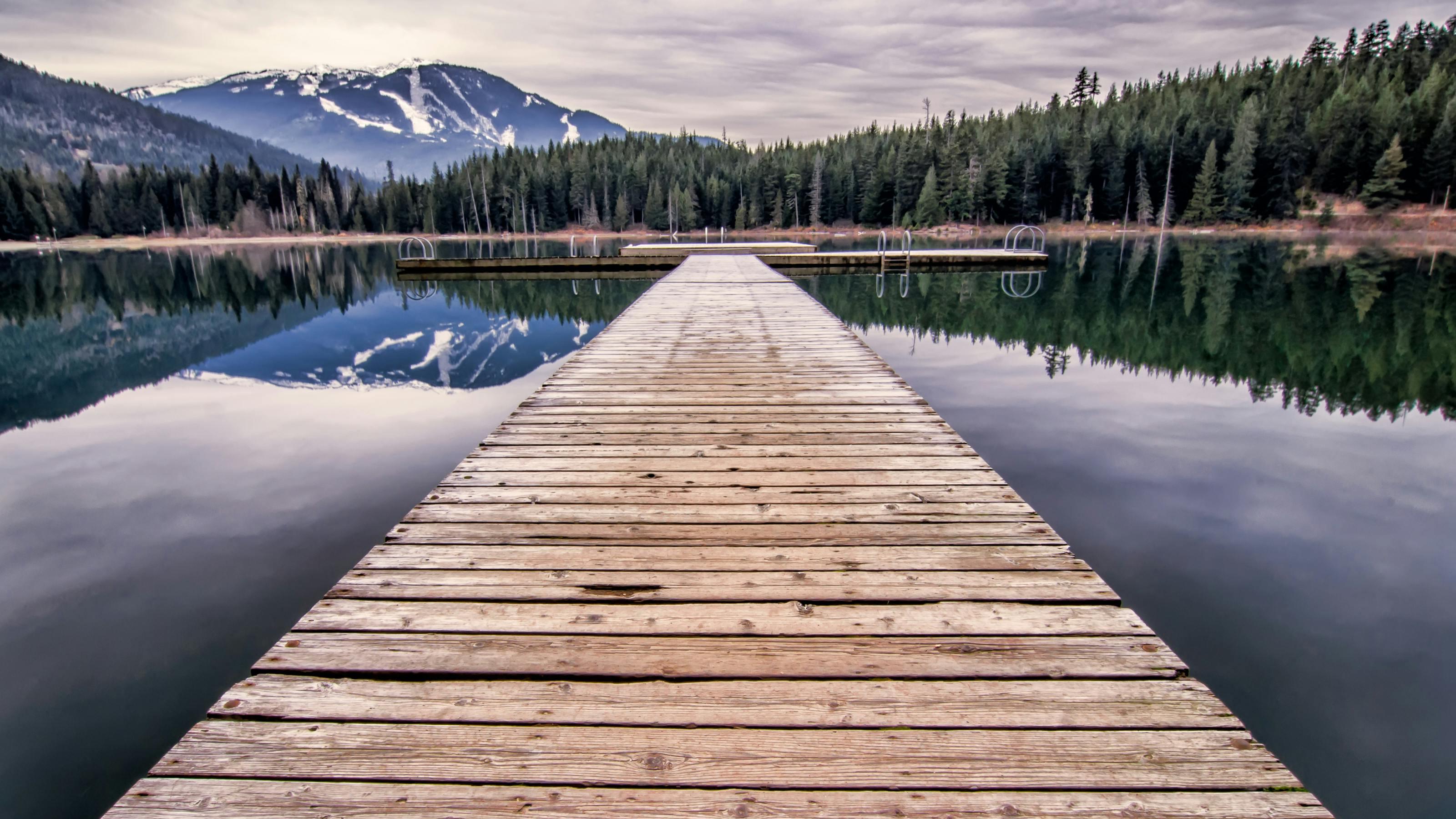 治愈焦虑只有一招：疯狂行动