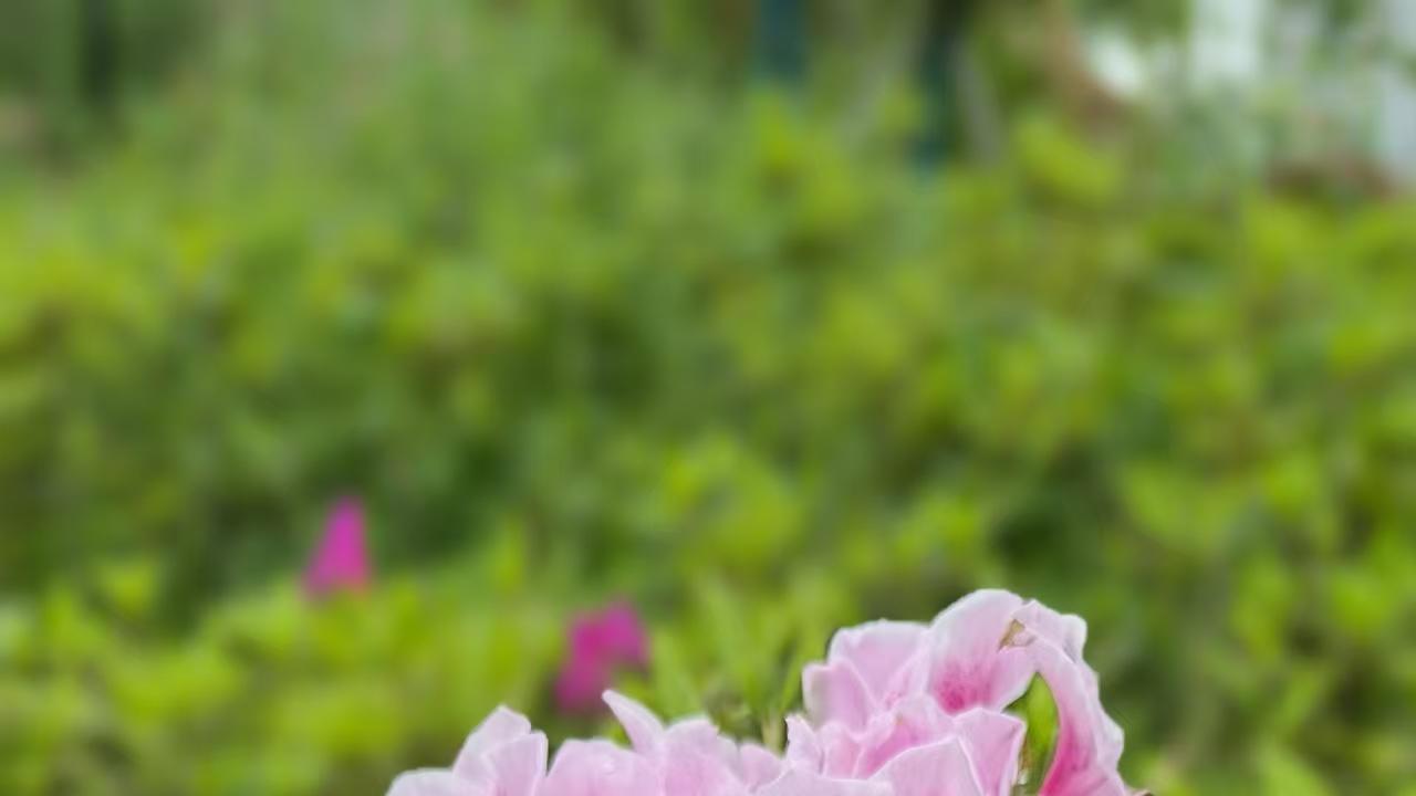 骄阳似火，送医下乡