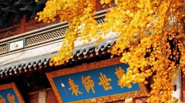 太令人欣喜了，杭州千年学府遇上金黄银杏，游拍一圈，还能有奖拿