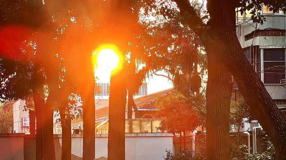 “5月这样发，你的朋友圈会被翻烂”