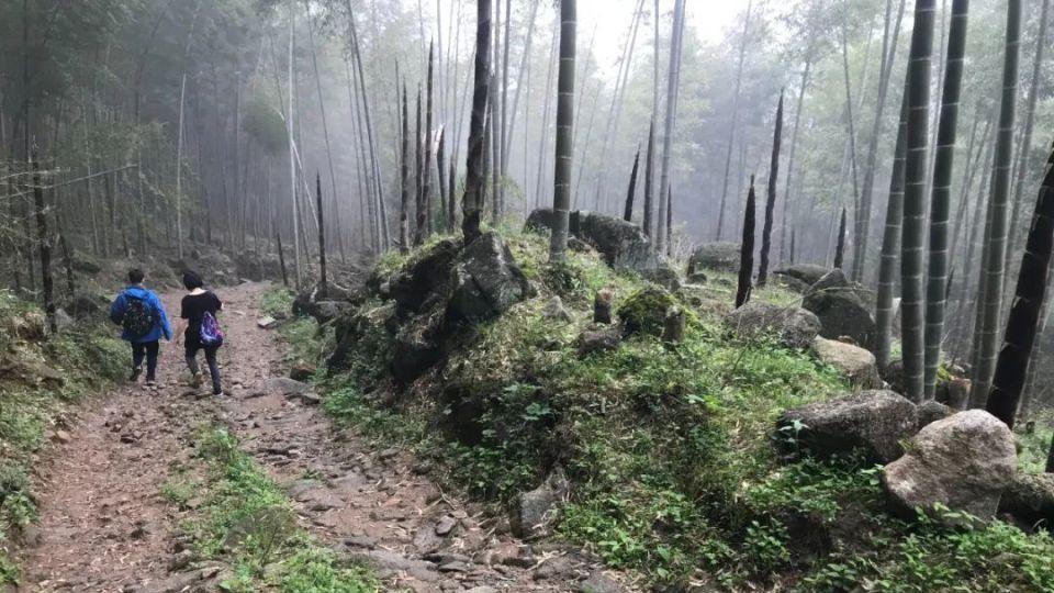 33 如何从江西铜鼓方向迅速登顶浏阳最高峰？