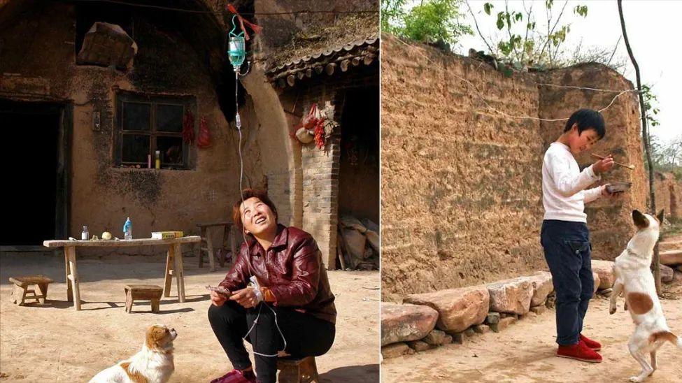 男子跌入水塘获中华田园犬救援，事后跪谢，狗狗暖心回礼令人动容