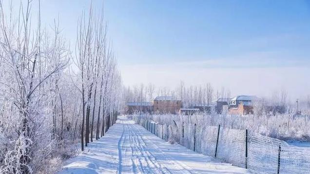 “三伏热不热，就看二九”，今日是二九，明年三伏期间会很热吗？